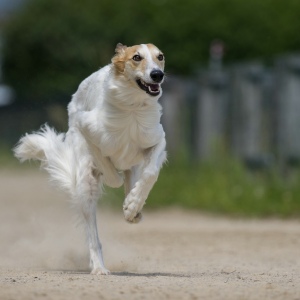 Windsprite-Treffen-2023-236 Windsprite-Treffen-2023-236