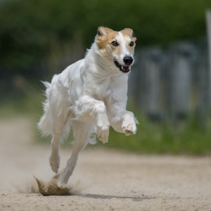 Windsprite-Treffen-2023-237 Windsprite-Treffen-2023-237