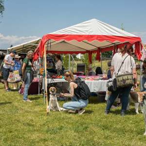 Windsprite-Treffen-2023-241 Windsprite-Treffen-2023-241