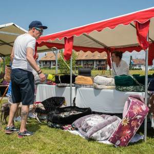 Windsprite-Treffen-2023-242 Windsprite-Treffen-2023-242