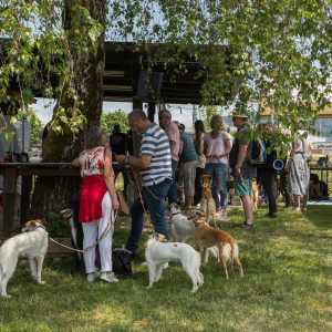 Windsprite-Treffen-2023-244 Windsprite-Treffen-2023-244