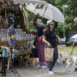 Windsprite-Treffen-2023-245 Windsprite-Treffen-2023-245