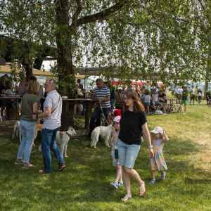 Windsprite-Treffen-2023-246 Windsprite-Treffen-2023-246