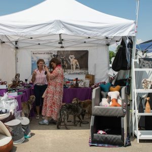 Windsprite-Treffen-2023-247 Windsprite-Treffen-2023-247