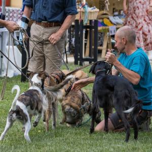 Windsprite-Treffen-2023-28 Windsprite-Treffen-2023-28