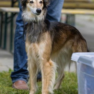 Windsprite-Treffen-2023-30 Windsprite-Treffen-2023-30