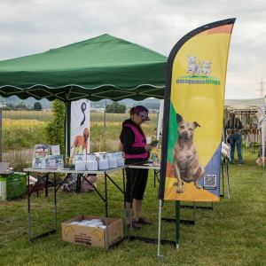 Windsprite-Treffen-2023-31 Windsprite-Treffen-2023-31