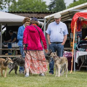 Windsprite-Treffen-2023-32 Windsprite-Treffen-2023-32