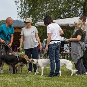 Windsprite-Treffen-2023-37 Windsprite-Treffen-2023-37