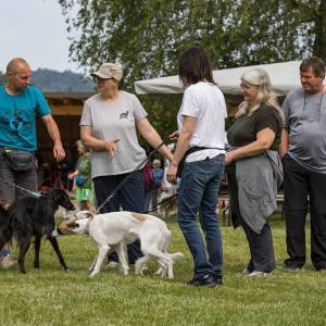 Windsprite-Treffen-2023-38 Windsprite-Treffen-2023-38