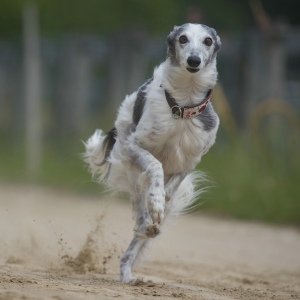 Windsprite-Treffen-2023-64 Windsprite-Treffen-2023-64