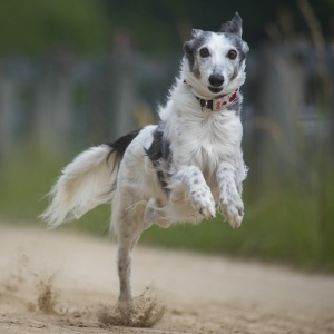 Windsprite-Treffen-2023-65 Windsprite-Treffen-2023-65