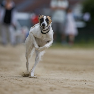 Windsprite-Treffen-2023-66 Windsprite-Treffen-2023-66