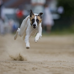 Windsprite-Treffen-2023-67 Windsprite-Treffen-2023-67
