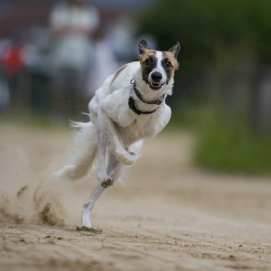 Windsprite-Treffen-2023-68 Windsprite-Treffen-2023-68