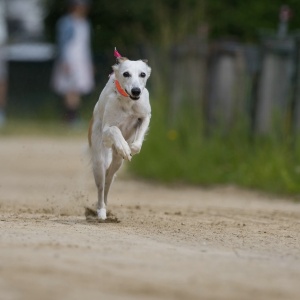 Windsprite-Treffen-2023-69 Windsprite-Treffen-2023-69