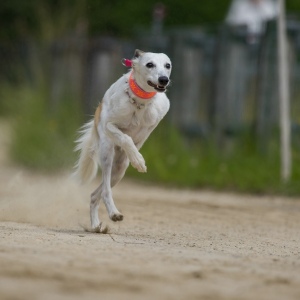 Windsprite-Treffen-2023-70 Windsprite-Treffen-2023-70