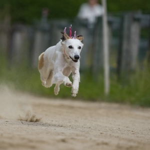 Windsprite-Treffen-2023-71 Windsprite-Treffen-2023-71