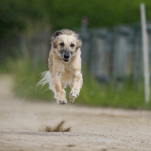 Windsprite-Treffen-2023-72 Windsprite-Treffen-2023-72