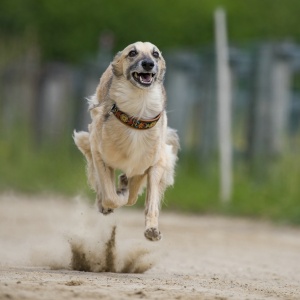 Windsprite-Treffen-2023-73 Windsprite-Treffen-2023-73