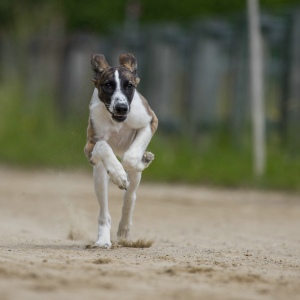 Windsprite-Treffen-2023-76 Windsprite-Treffen-2023-76