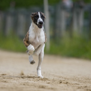 Windsprite-Treffen-2023-77 Windsprite-Treffen-2023-77