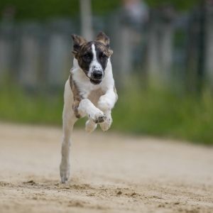 Windsprite-Treffen-2023-78 Windsprite-Treffen-2023-78