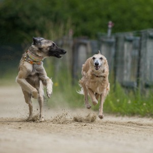 Windsprite-Treffen-2023-79 Windsprite-Treffen-2023-79