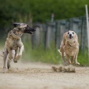 Windsprite-Treffen-2023-80 Windsprite-Treffen-2023-80