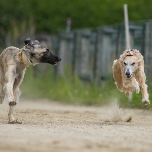 Windsprite-Treffen-2023-81 Windsprite-Treffen-2023-81