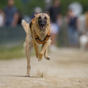 Windsprite-Treffen-2023-82 Windsprite-Treffen-2023-82