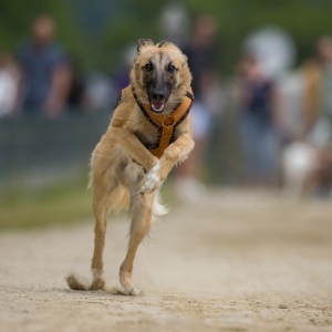 Windsprite-Treffen-2023-83 Windsprite-Treffen-2023-83