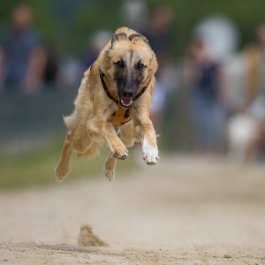 Windsprite-Treffen-2023-84 Windsprite-Treffen-2023-84