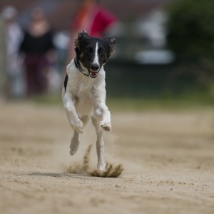 Windsprite-Treffen-2023-85 Windsprite-Treffen-2023-85