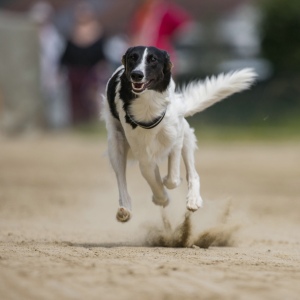 Windsprite-Treffen-2023-86 Windsprite-Treffen-2023-86