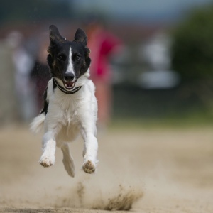 Windsprite-Treffen-2023-87 Windsprite-Treffen-2023-87