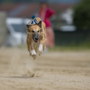 Windsprite-Treffen-2023-88 Windsprite-Treffen-2023-88
