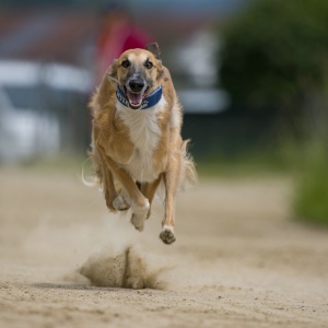 Windsprite-Treffen-2023-89 Windsprite-Treffen-2023-89