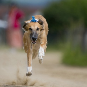 Windsprite-Treffen-2023-90 Windsprite-Treffen-2023-90