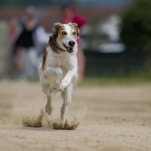 Windsprite-Treffen-2023-91 Windsprite-Treffen-2023-91