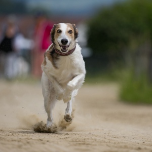 Windsprite-Treffen-2023-92 Windsprite-Treffen-2023-92