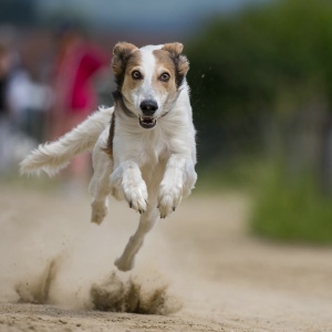 Windsprite-Treffen-2023-93 Windsprite-Treffen-2023-93