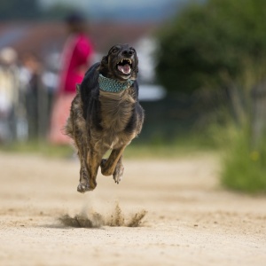 Windsprite-Treffen-2023-94 Windsprite-Treffen-2023-94