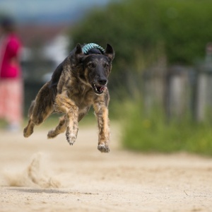 Windsprite-Treffen-2023-95 Windsprite-Treffen-2023-95