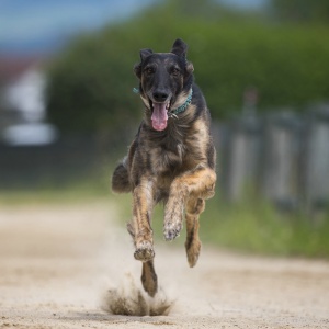 Windsprite-Treffen-2023-96 Windsprite-Treffen-2023-96