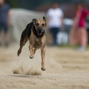 Windsprite-Treffen-2023-97 Windsprite-Treffen-2023-97