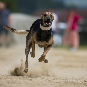 Windsprite-Treffen-2023-98 Windsprite-Treffen-2023-98