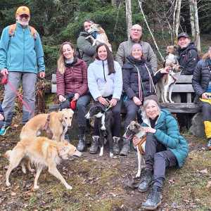 bcb0cfe0-6351-4a1e-831a-2ac43436cdd6 bcb0cfe0-6351-4a1e-831a-2ac43436cdd6