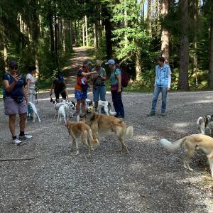 HundimFreibad_2026_2 HundimFreibad_2026_2