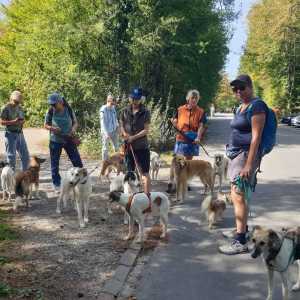HundimFreibad_2026_6 HundimFreibad_2026_6